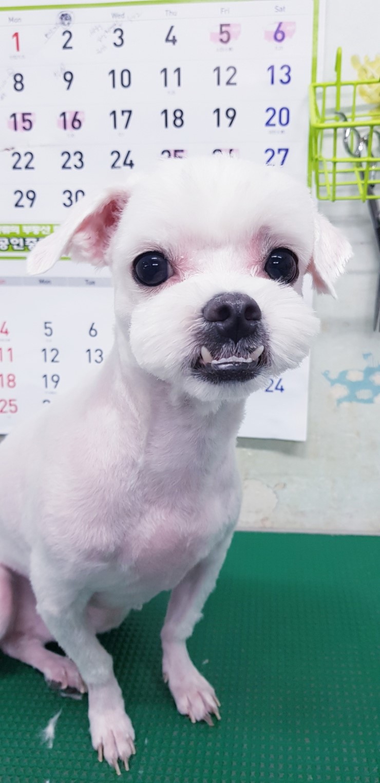 동화미용 이미지