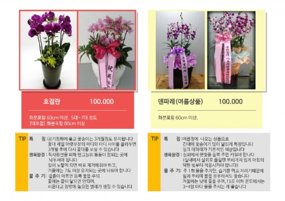 플라워비니 이미지