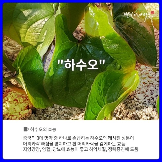 화산영농조합법인 이미지