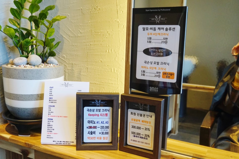 살롱드스텔라 이미지