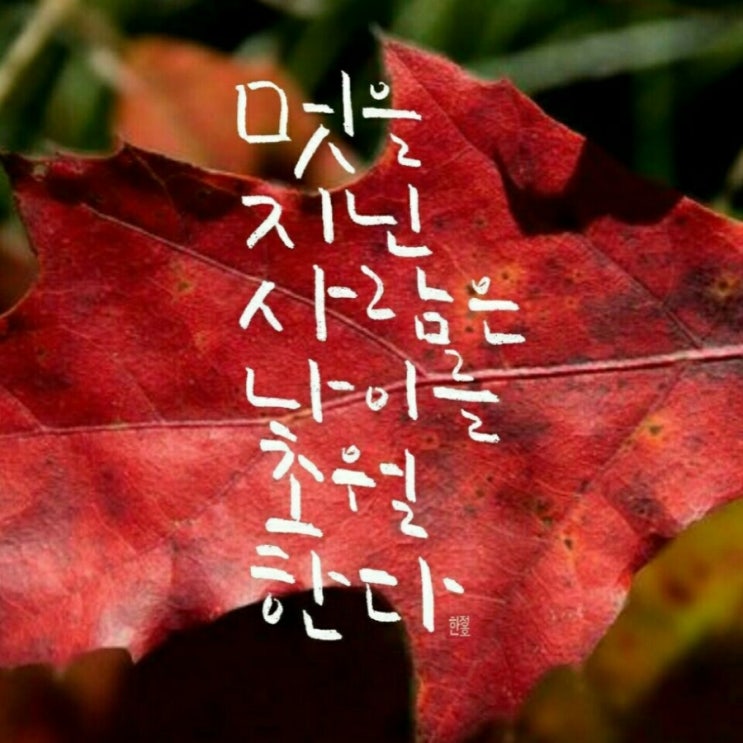 아랑고고 이미지