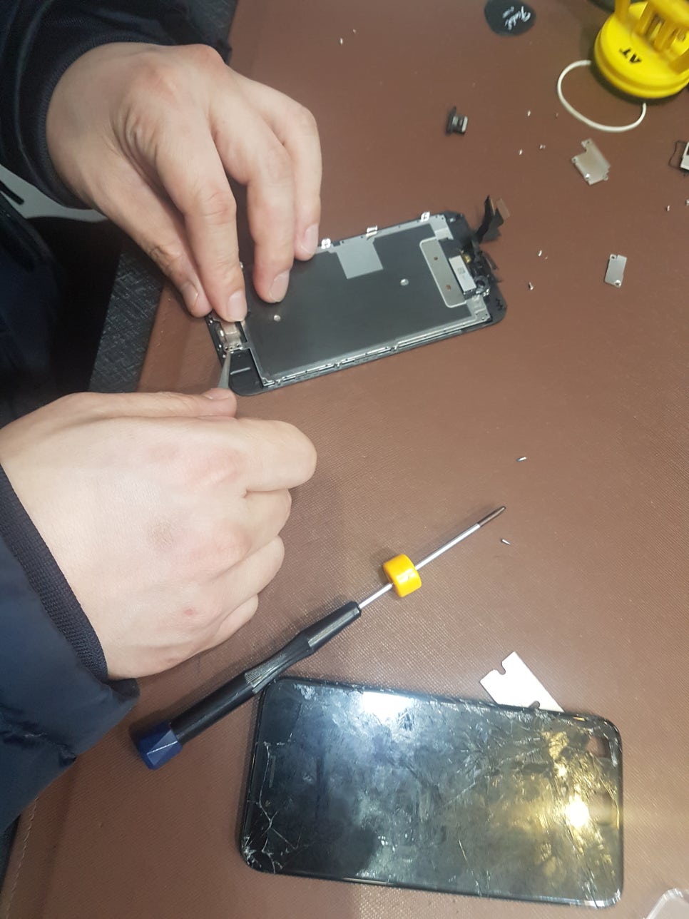 폰다판다 이미지