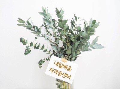 대한직업소개소 이미지