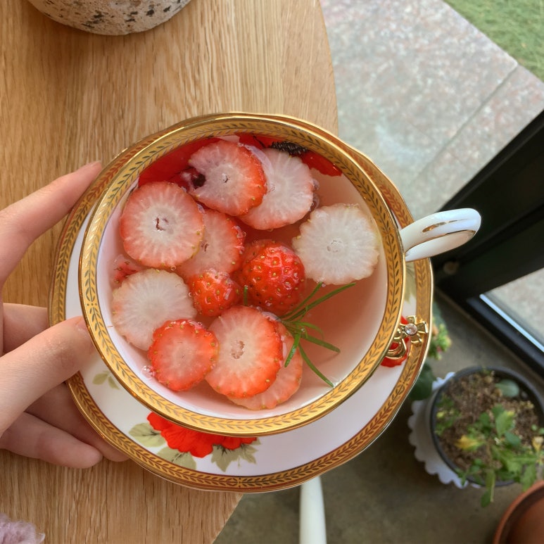 메리트리(meritree) 이미지