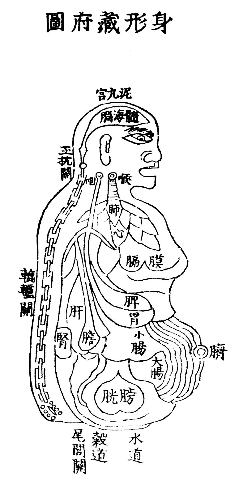 경희장생한의원 이미지