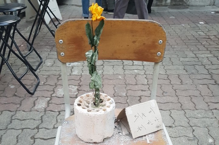 백마상회 이미지