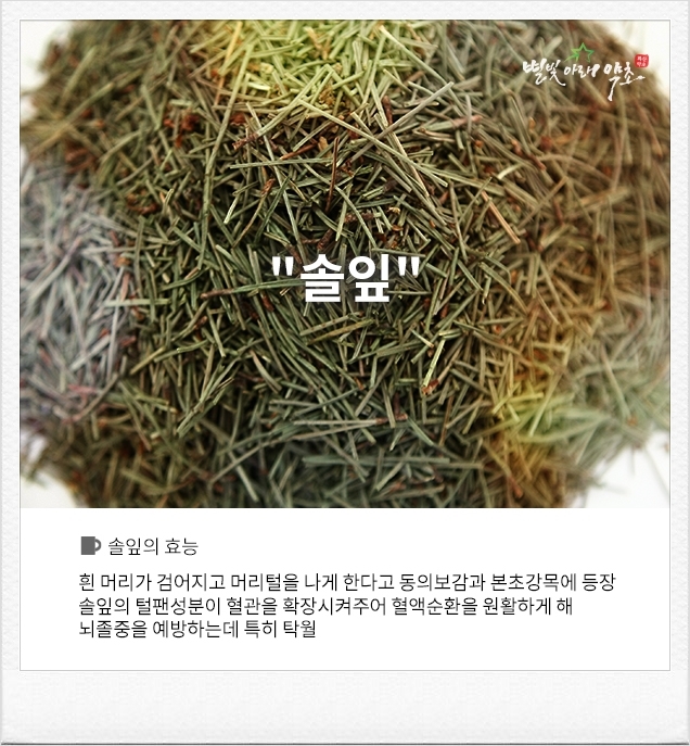 어성초영농조합법인 이미지