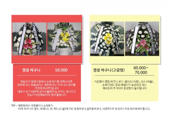 플라워비니 이미지