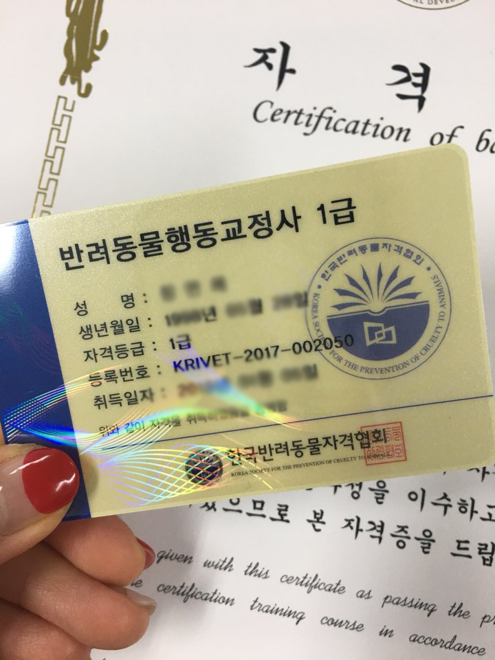 한국반려동물교육원 이미지