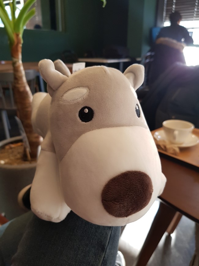 카페유알피 이미지