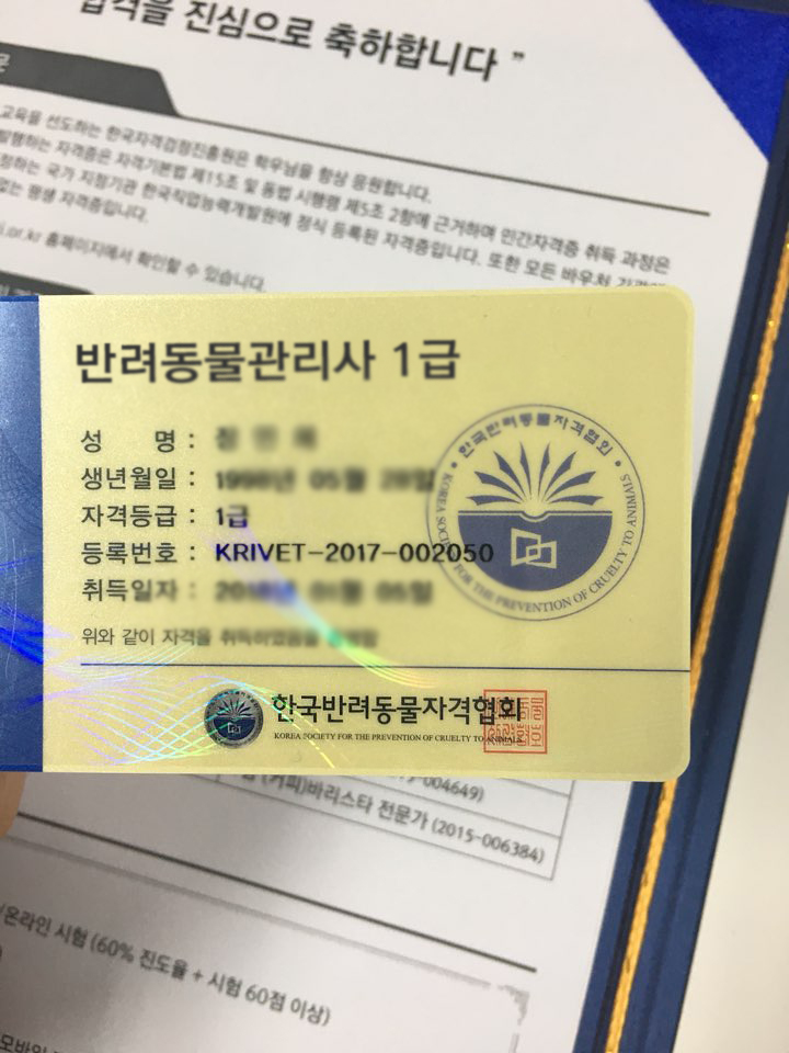한국반려동물교육원 이미지