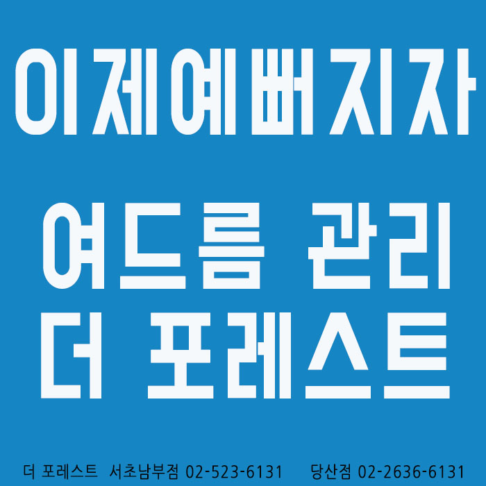 더포레스트스킨 이미지