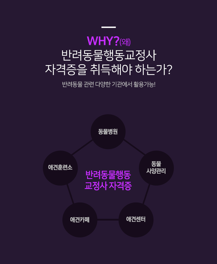 한국반려동물교육원 이미지