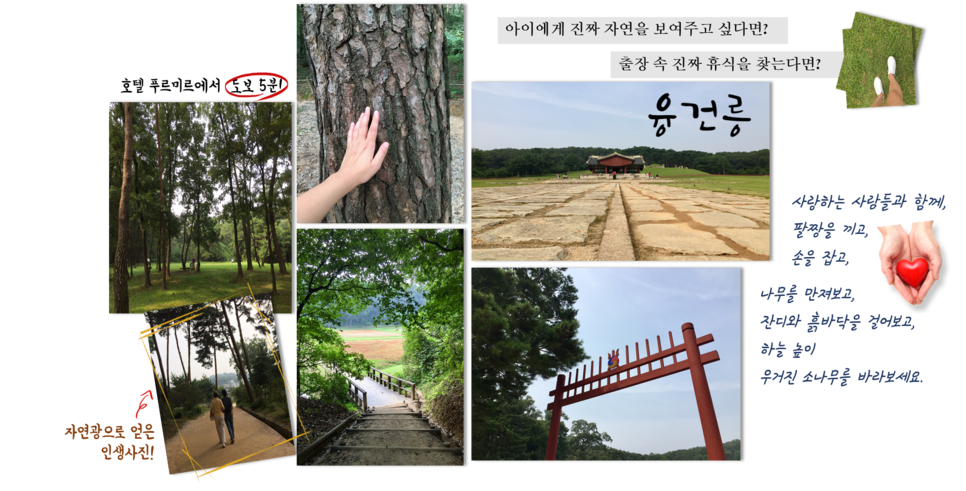푸르미르 이미지