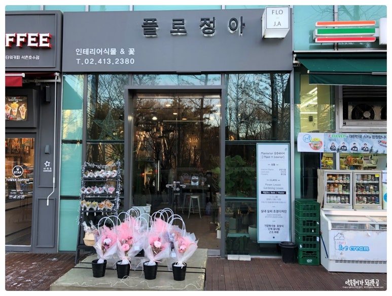 플로정아 이미지