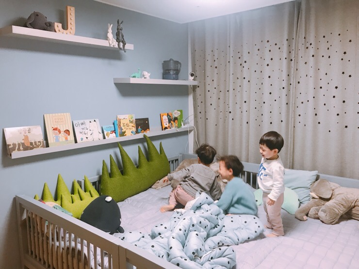 도진 이미지