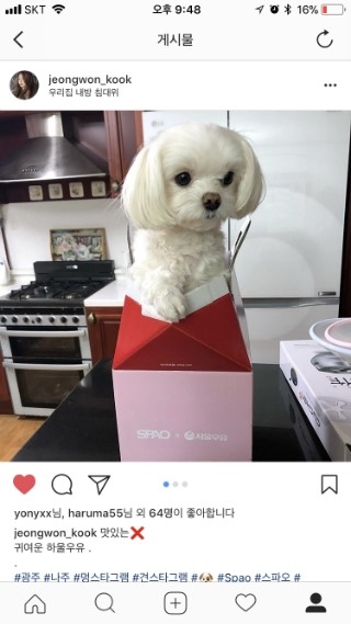 웨이브앤씨 이미지