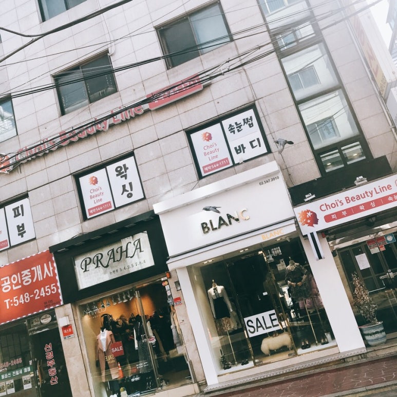 최스 이미지