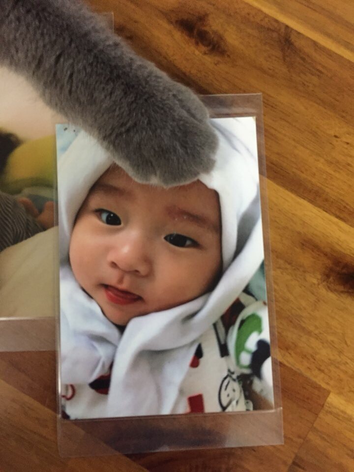 아오타 이미지