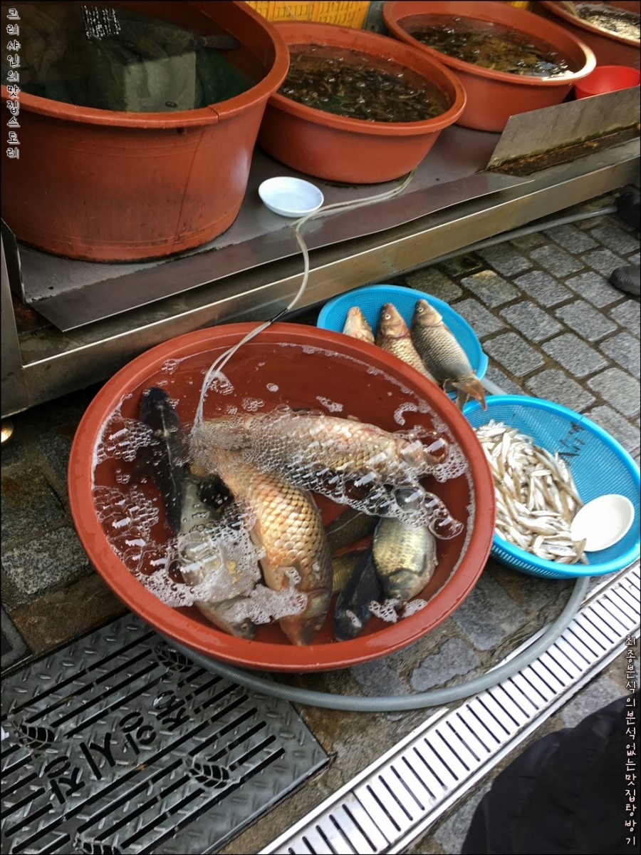천일청과 이미지