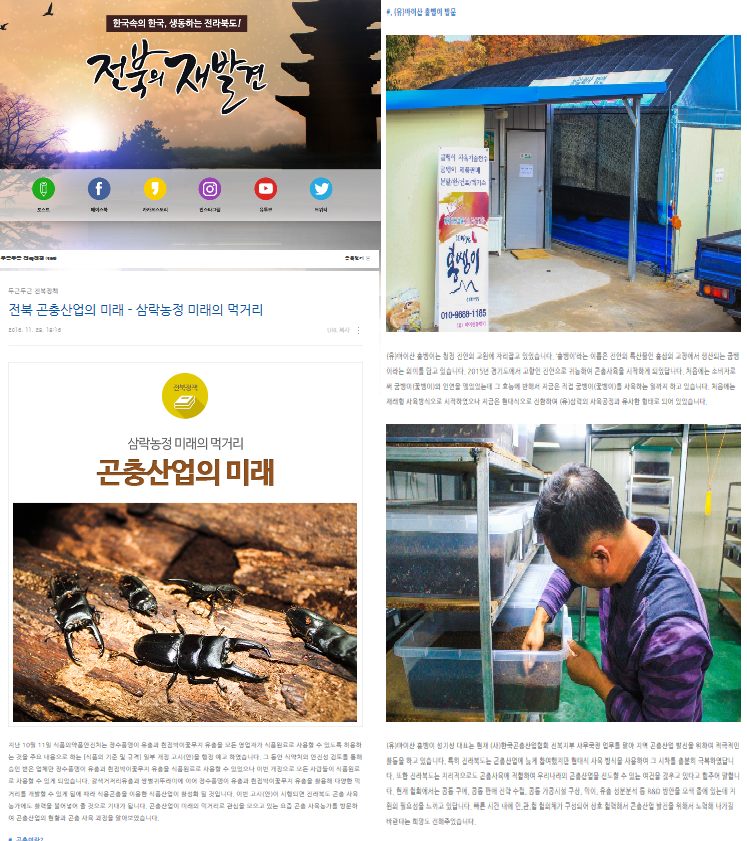 마이산홍벵이 이미지