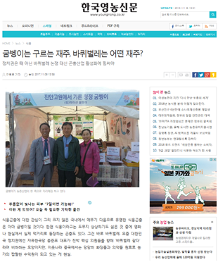 마이산홍벵이 이미지