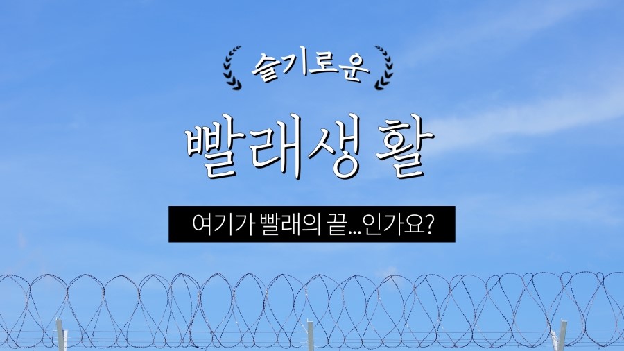 슬기로운세탁생활 이미지