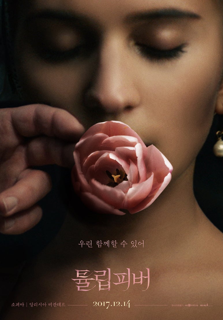 디자인피버 이미지