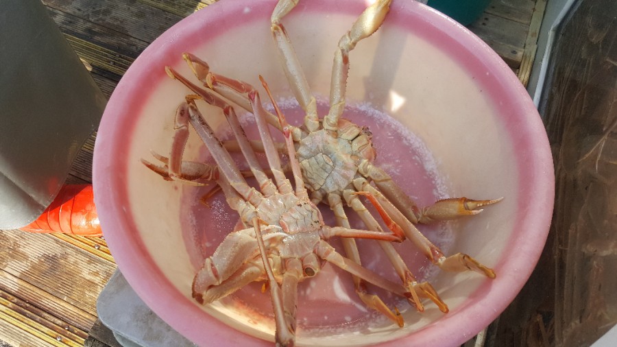 참한횟집 이미지
