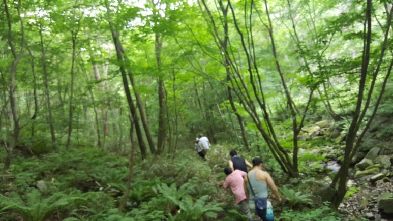 산장민박 이미지