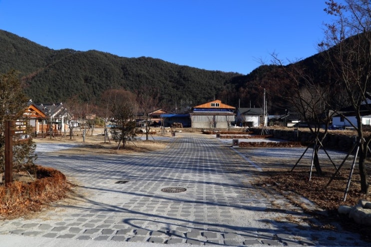 농월정오토캠핑장 이미지