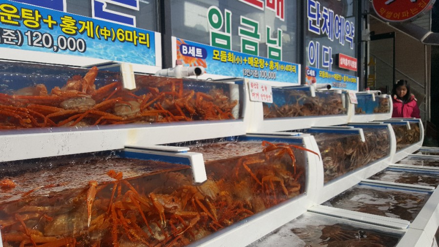 참한횟집 이미지