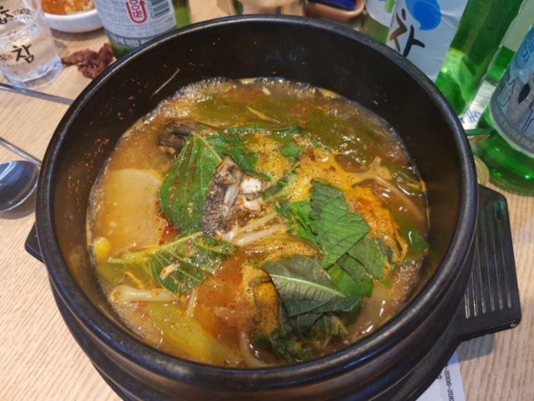 청춘물회 이미지