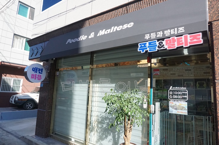 경산차이나 이미지