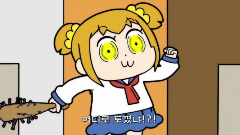 팀메리 이미지