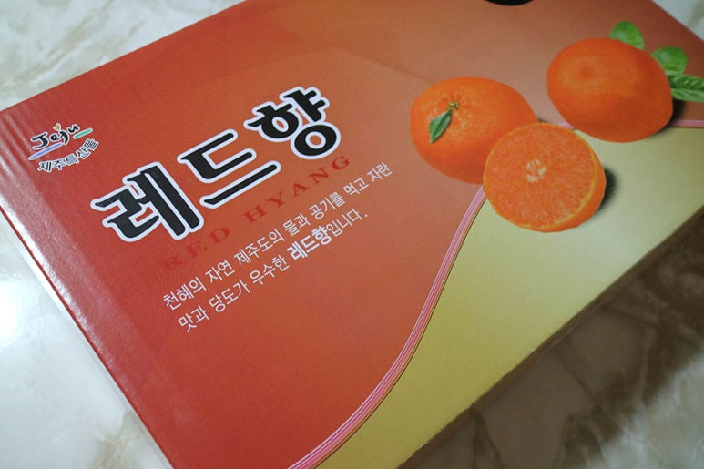 감따남 이미지