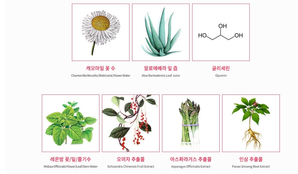 수가엠 이미지