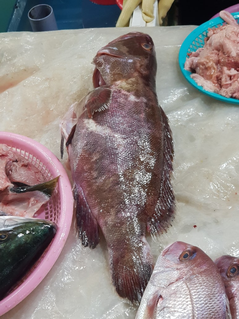제주문 이미지