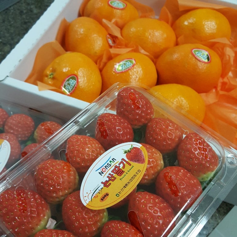 삼보청과 이미지