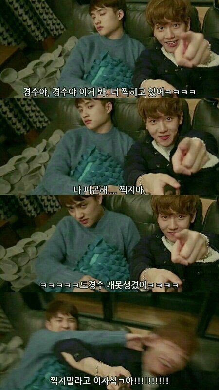 엘드라곤 이미지