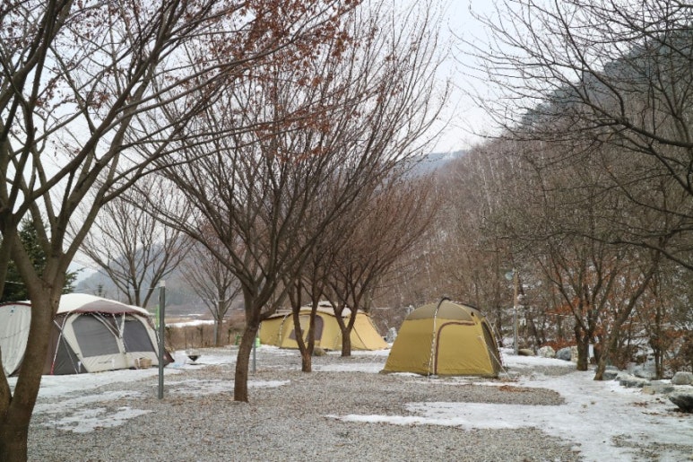 원주두리캠핑장 이미지