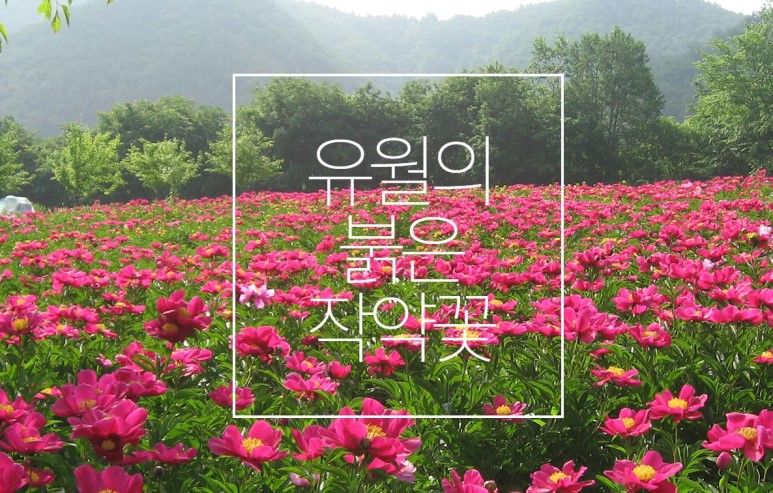국제허브아카데미 이미지