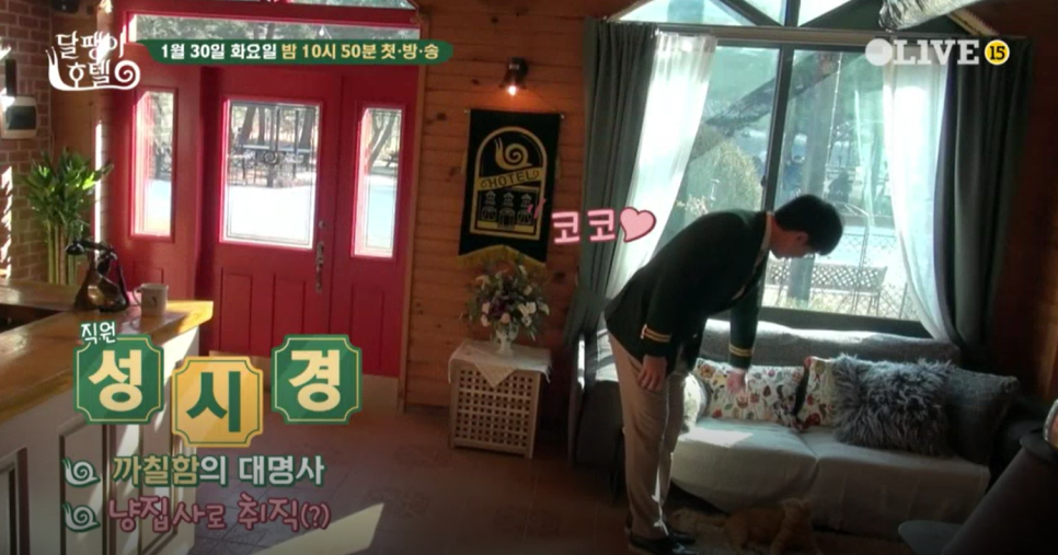 올리브코코펜션 이미지