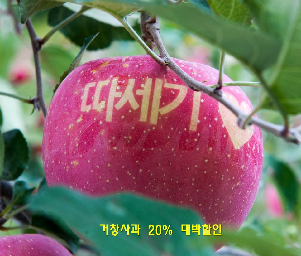 거창할인마트 이미지