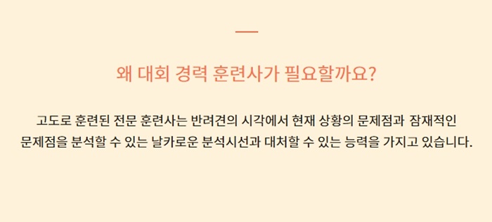 시우스 이미지