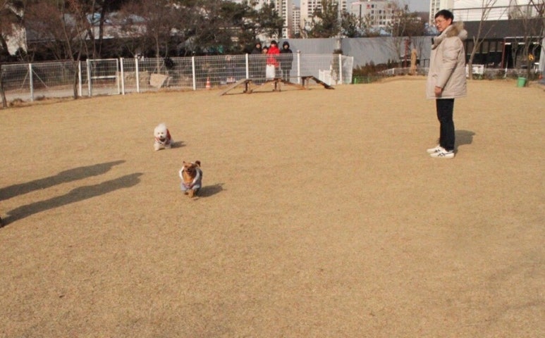 꿈과희망의숲 이미지