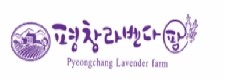 국제허브아카데미 이미지