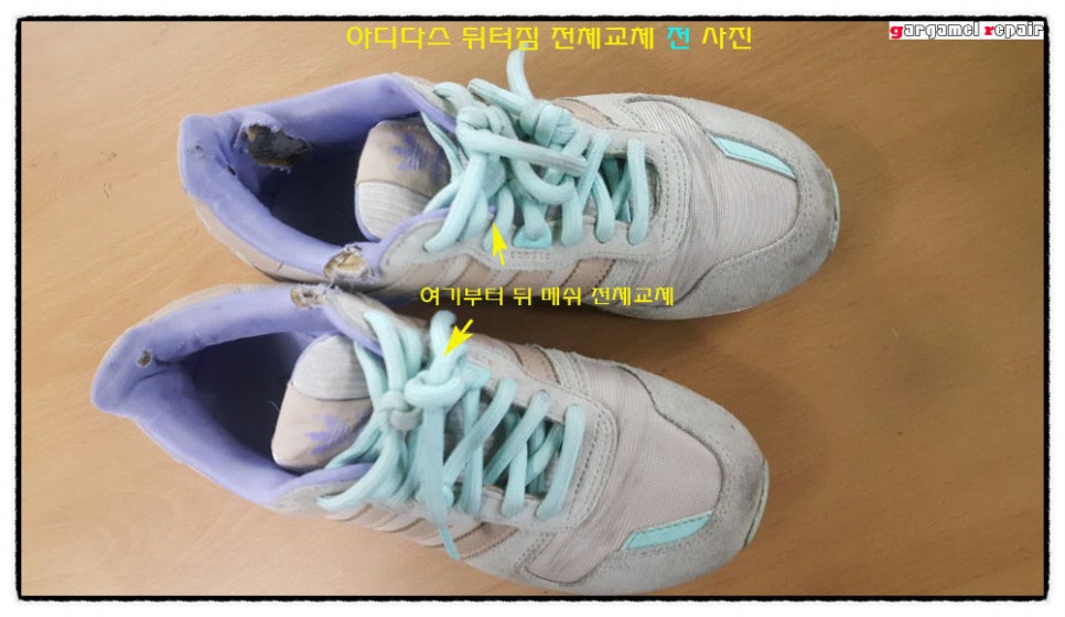 두리수선 이미지