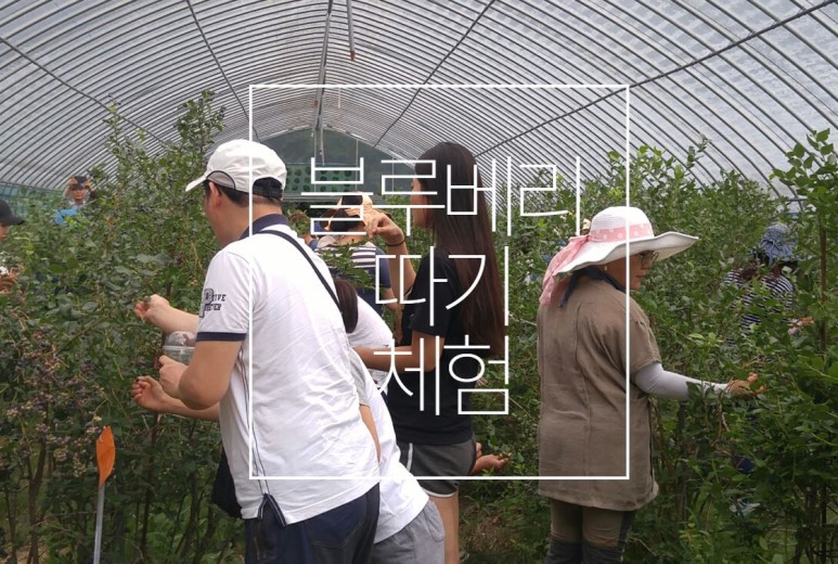 국제허브아카데미 이미지