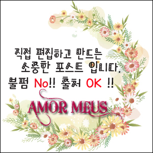 노타입 이미지